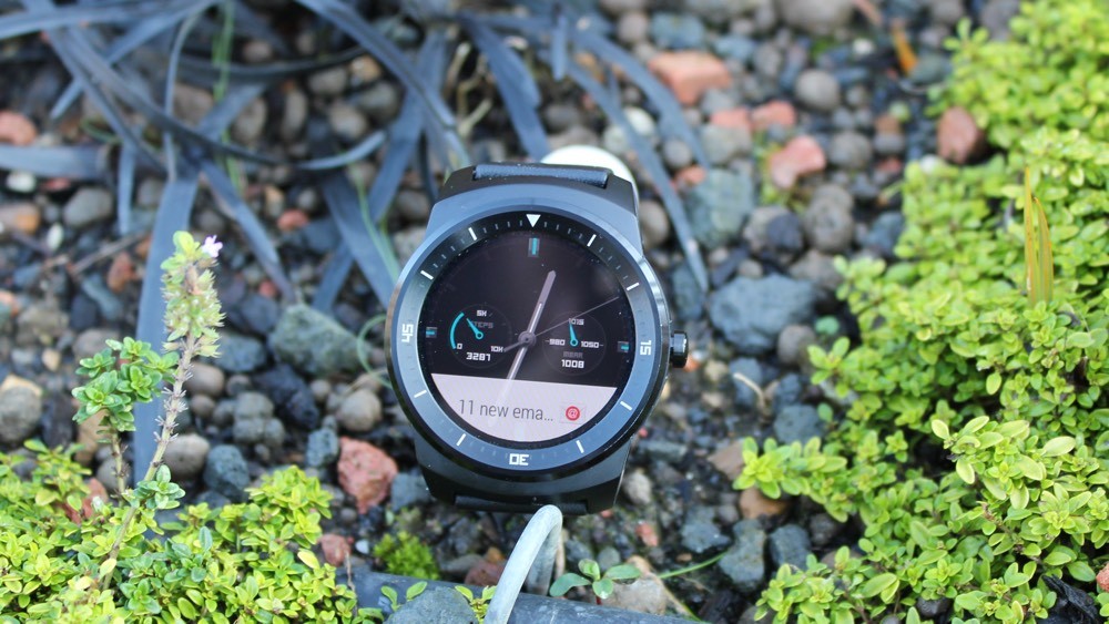 img-5424-1416414062-NiIX-full-width-inline