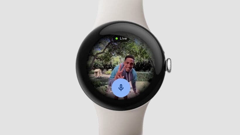 Fitbit December Pixel Drop