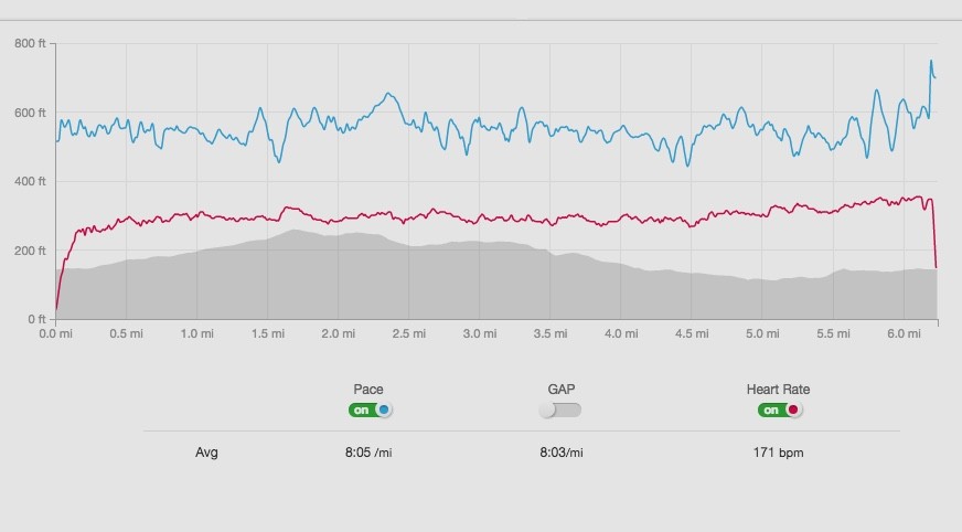 Heart rate diary week 6: Pain and gain