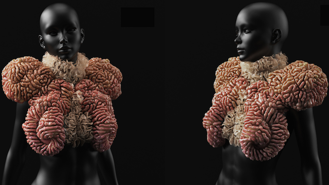 10-wanderers-1417186864-jL5D-column-width-inline