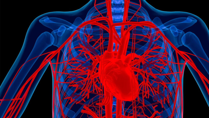 ​Wearables vs killer diseases: Is technology winning the fight?