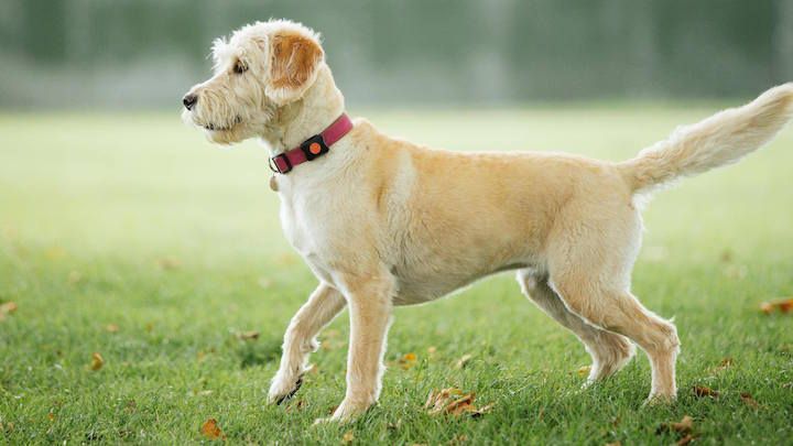 12000841-509304682560980-6271197955429315027-o-1499283540-lvD1-column-width-inline