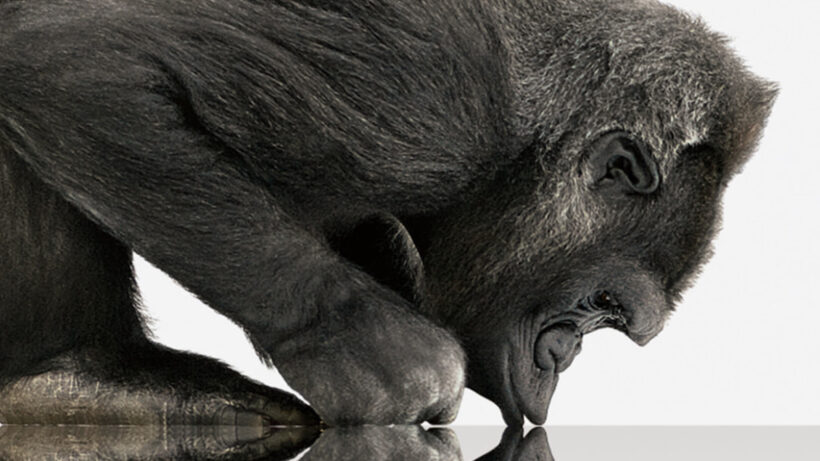 Gorilla Glass SR+ will keep our wearables safe, but will it make Apple Watch 2?