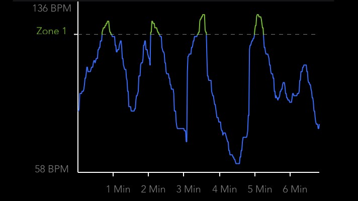 Sex, shoplifting and scares: Plotting my heart rate highs and lows