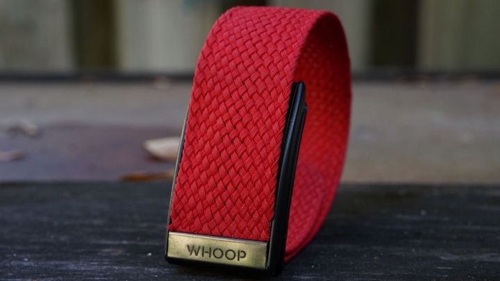 Celebrity backing: Meet the athletes and A-listers investing in wearable tech