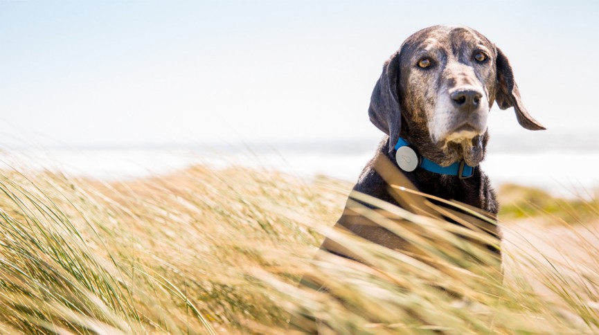 19 essential Jawbone tips: Get more from your Jawbone fitness band