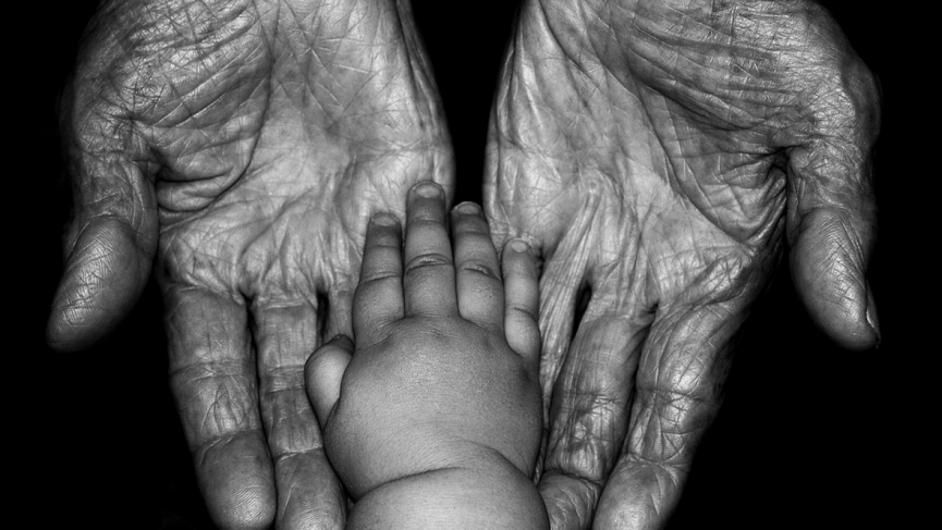 Dontcha know Sano: Everything you need to know about Fitbit's big investment