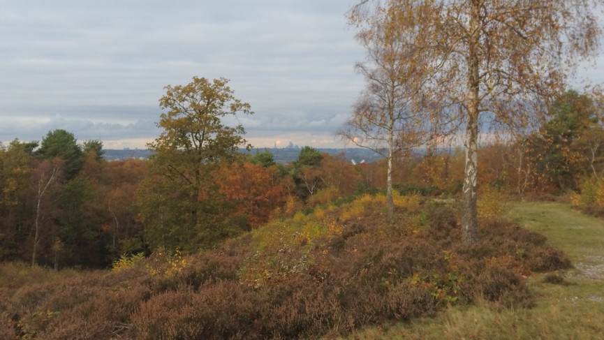 Wristcam review: Snap happy with an Apple Watch smart strap