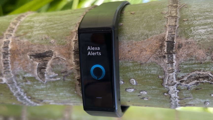Wyze Band review: $30 tracker is good for the basics