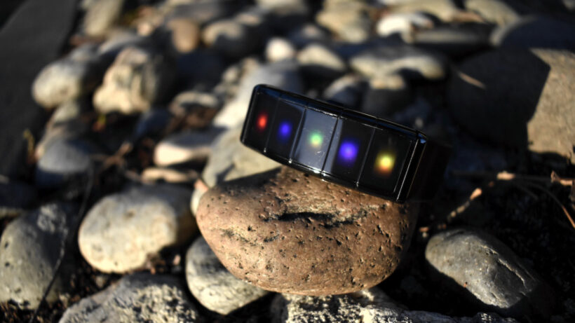 Living with the Nex Band Evolution