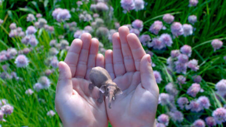 Augmented Reality v Mixed Reality: Dissecting the future