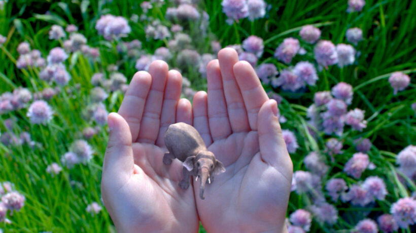 Augmented Reality v Mixed Reality: Dissecting the future