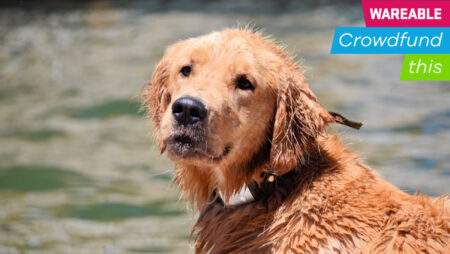 Waggit's smart collar could one day help save dogs from cancer