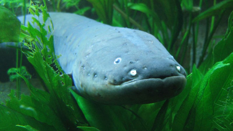 29144250-996a780325-b-1488305197-frHe-column-width-inline