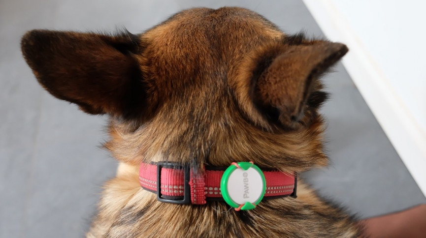 29254-fe7e88a57caef129c35b2048d23c4145-1537890256-UXKC-column-width-inline