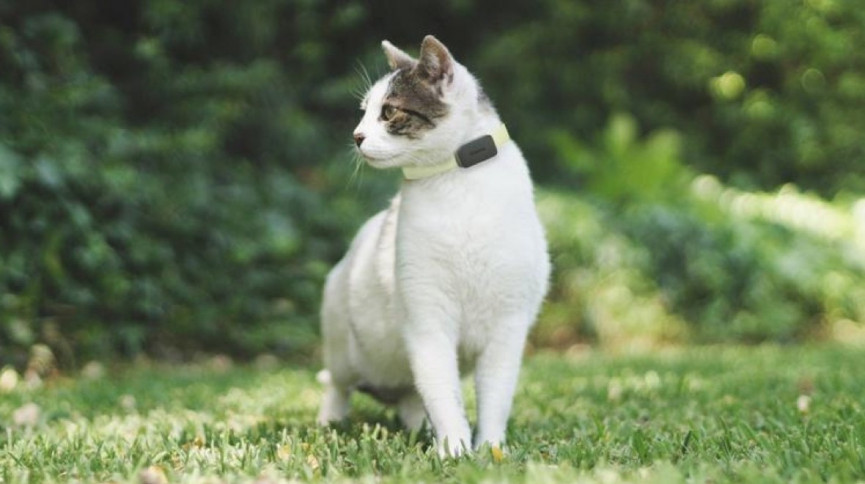 29724-d4f1764084e07c33354b67b797daade0-1532969658-5B6l-column-width-inline