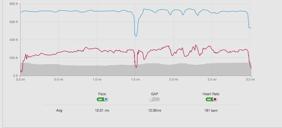 Heart rate diary week 6: Pain and gain