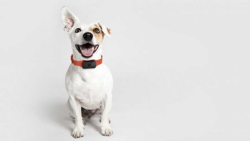 50 wearable tech gamechangers for 2016