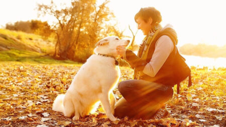 DogStar TailTalk wants you to know how your puppy feels DogStar TailTalk wants you to know how your puppy feels