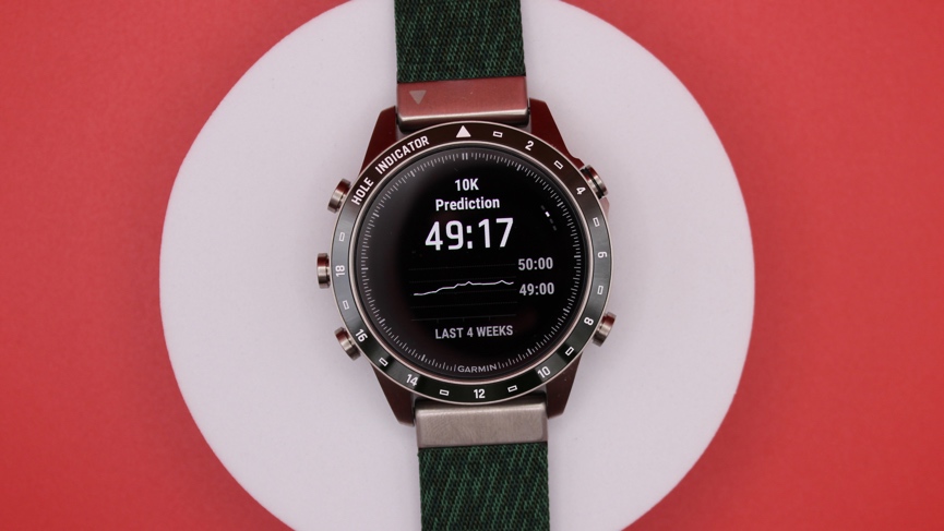 garmin vo2 max race predictor