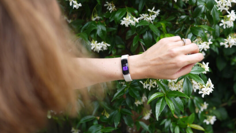 New Fitbit lands at FCC – but Google could seize control