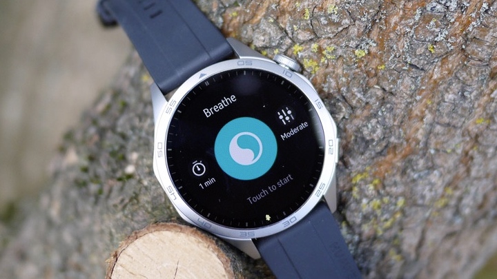 watch gt 4 stress tracking