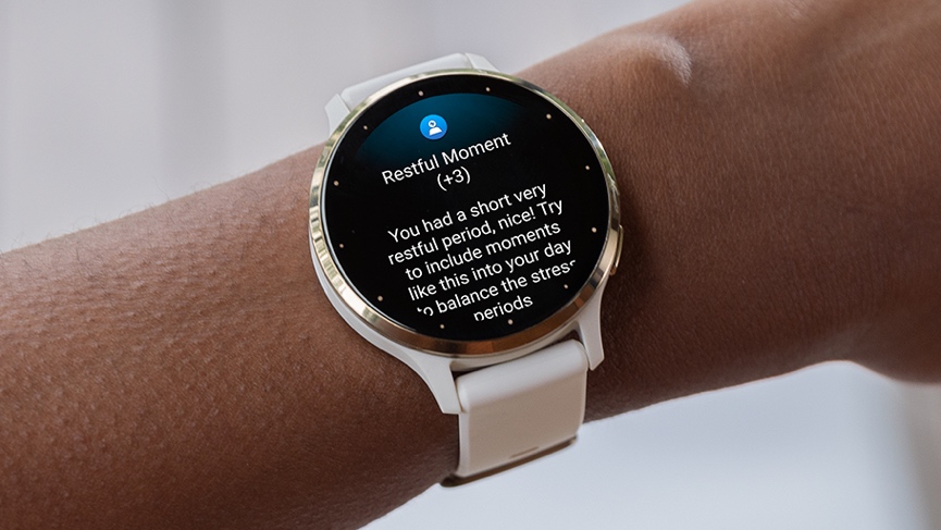 Garmin Venu 3 vs. Samsung Galaxy Watch 6 photo 6