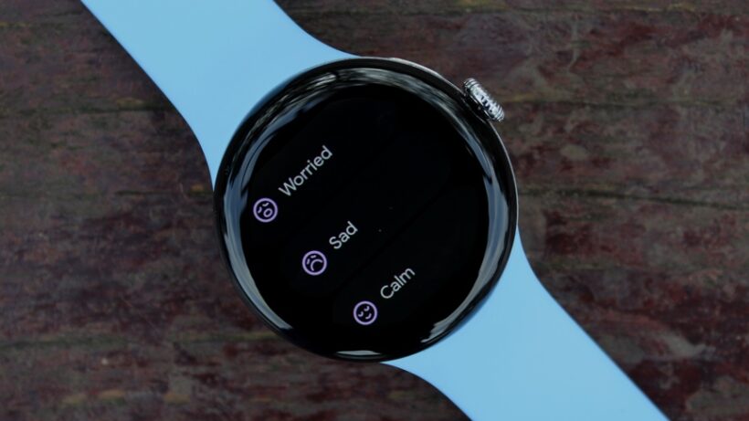 Google Pixel Watch 2 mood logging