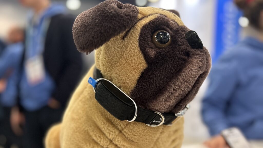 CES 2024: The best wearable tech from the Las Vegas show photo 7