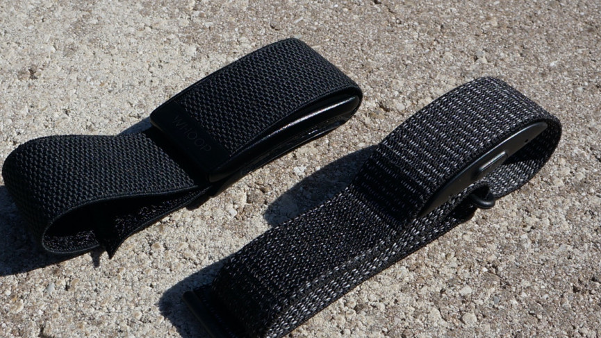 Amazon Halo review: Super intrusive but big-brand Labs shine through