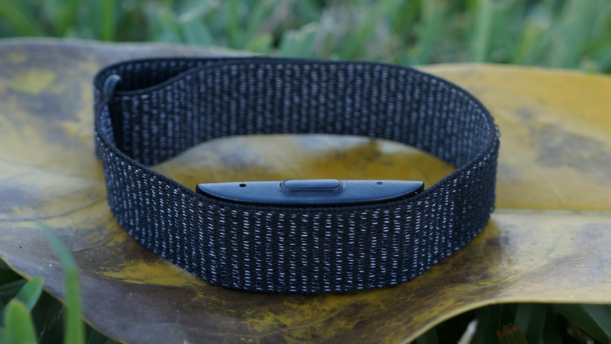 Amazon Halo review: Super intrusive but big-brand Labs shine through