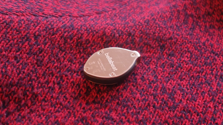 Bellabeat Leaf Chakra review