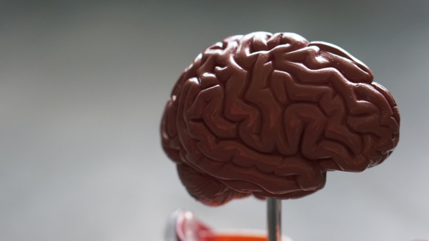 Neuralink guide: How wearables will play their part in Elon Musk's brain tech