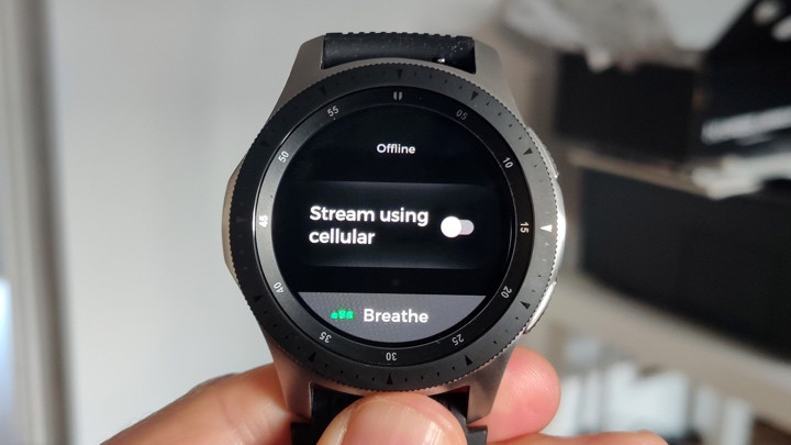Spotify on Samsung smartwatches: How to connect, download and listen to your music