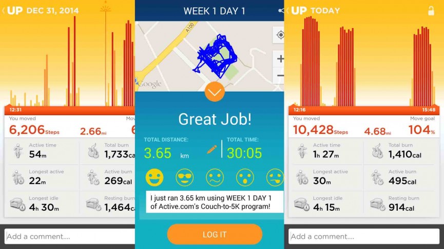 couch-to-5k-diary-screen-2-1420223267-dXjV-column-width-inline