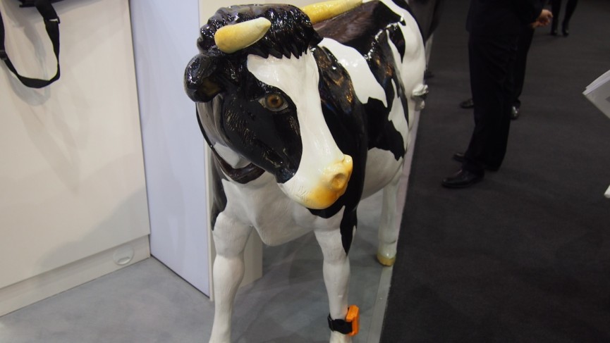 Best wearables of MWC 2016