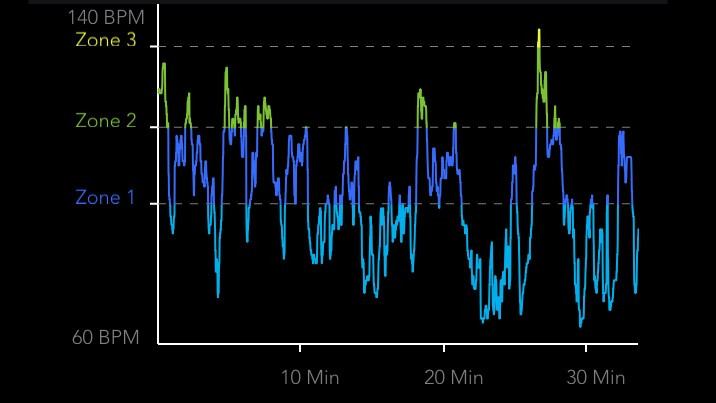 Sex, shoplifting and scares: Plotting my heart rate highs and lows