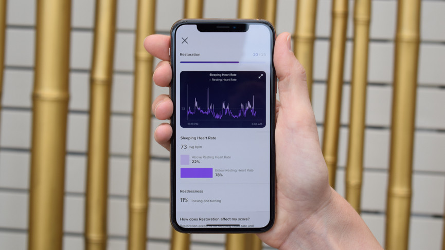 dsc-0023-1566973295-HYhs-column-width-inline