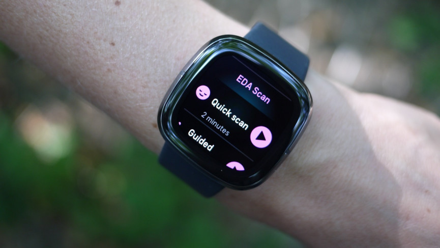 ​Fitbit co-founder: ‘We lead and others follow’ – here's where Fitbit's heading next