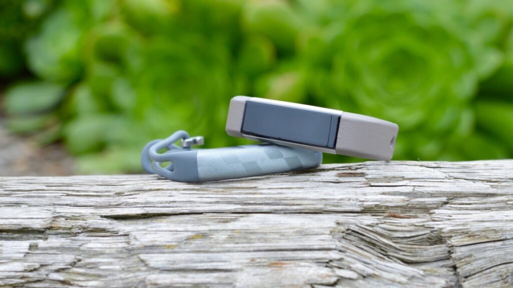 Fitbit Alta review