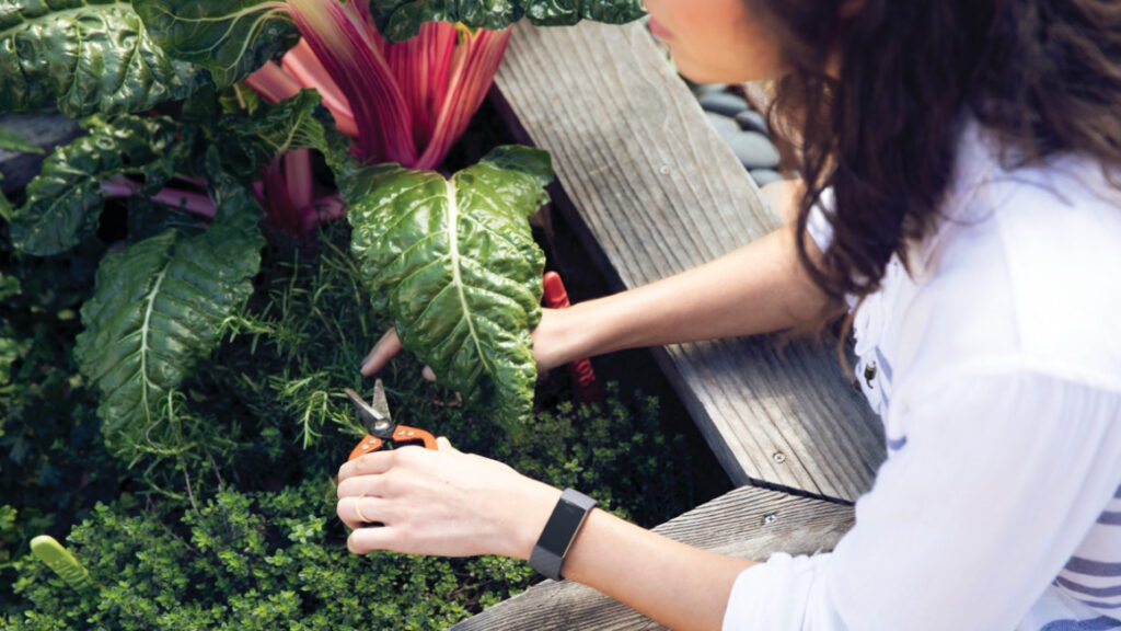 Fitbit clinical trials: The most exciting studies so far