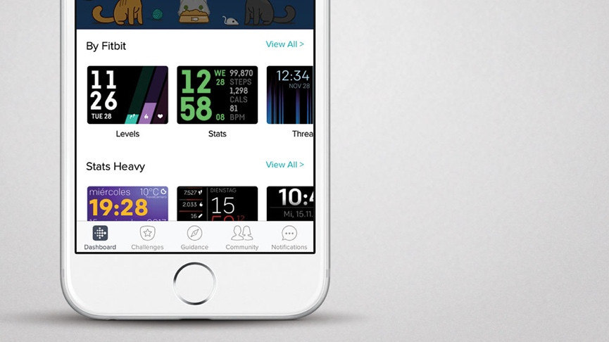 ​A look inside Fitbit's app developer scene