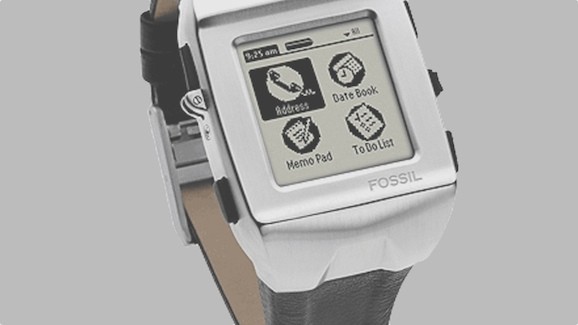 fossil-1412948524-9cDX-column-width-inline