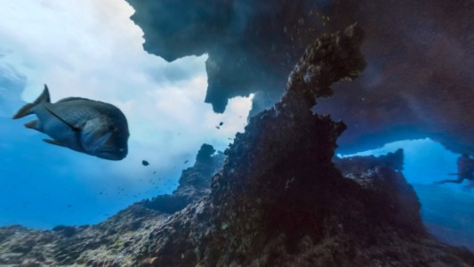 And finally: Apple Watch modular accessories incoming and more