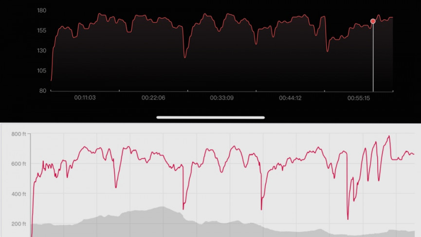 hr-1605648790-n0SD-column-width-inline