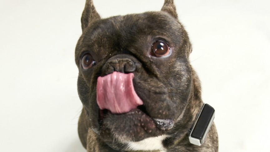 Crowdfund this: Wearable Kickstarter and Indiegogo campaigns to keep an eye on