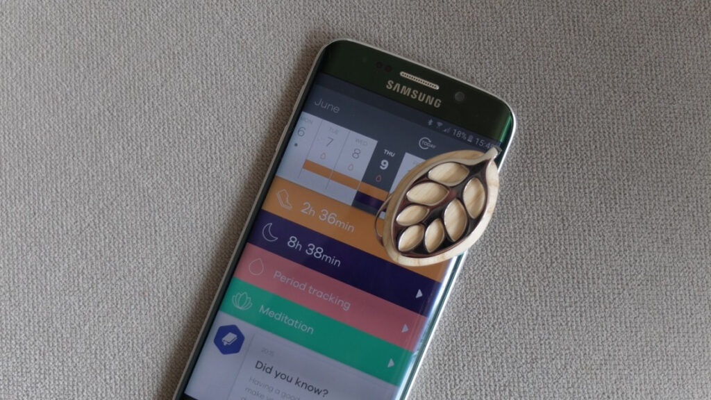 Bellabeat LEAF review