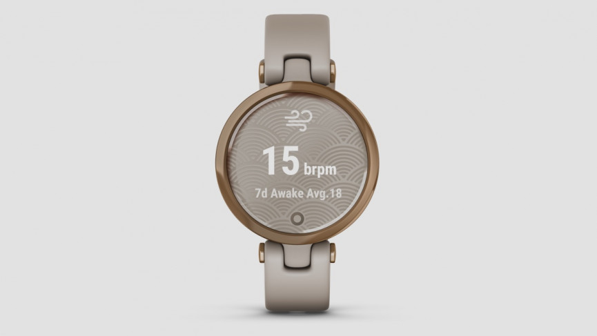 Garmin Lily is a 34mm slimmed down smartwatch aimed at women