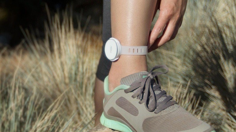 moov-1418291281-gKyf-column-width-inline