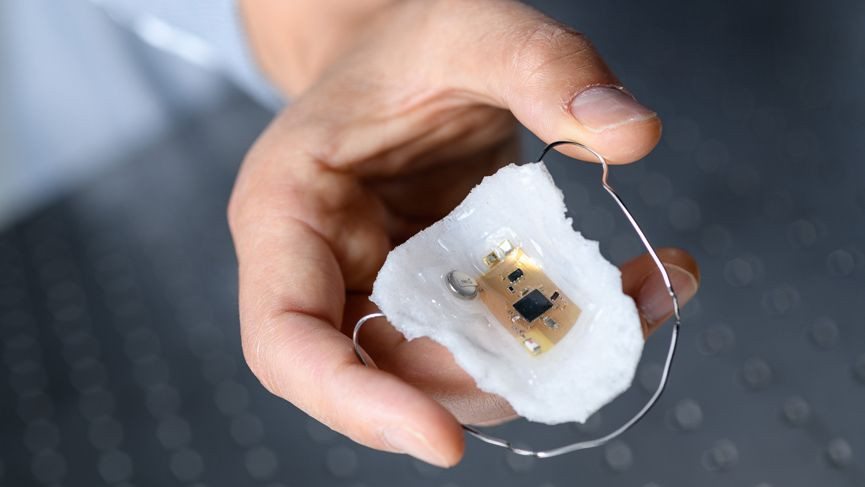 The nutritionist of tomorrow is digital